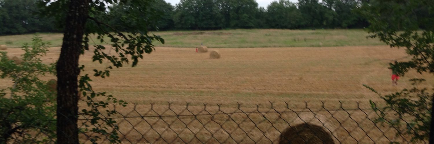 Muddy Paws🐝💙🇪🇺 🇫🇷 🇪🇸 🇬🇧 citizen of EU banner
