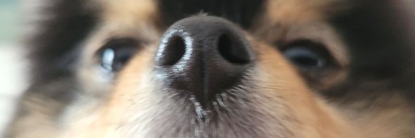 umyscenery Profile Banner