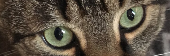 clarabegusseau's profile banner image