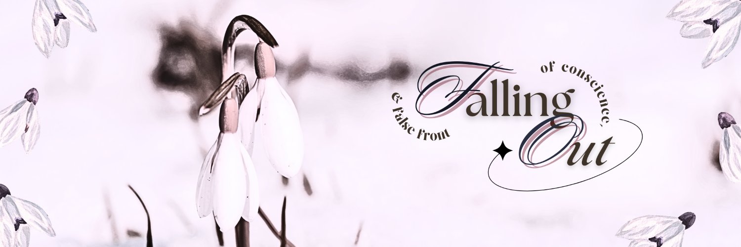 falllingout's profile banner image