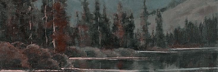 NAJD banner