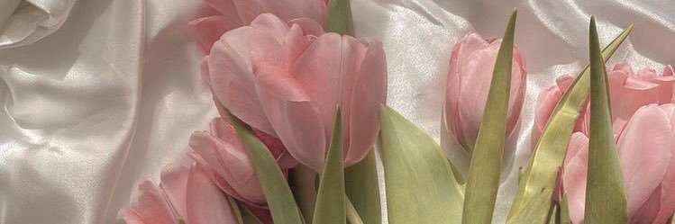 chrssnt's profile banner image