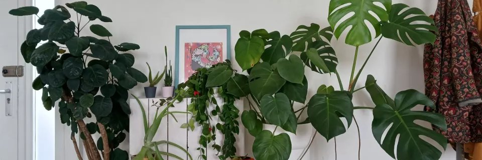 European Network of Cultural Centres banner