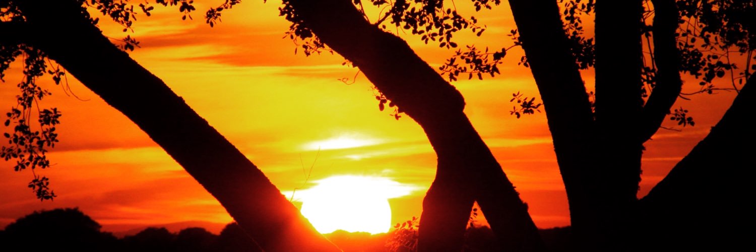 ComparteTuAtardecer banner