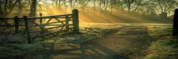 PatKirwanCBS Profile Banner