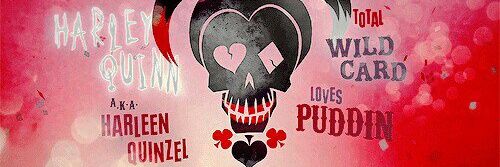 FracturedHarley's profile banner image
