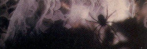 desi7ee's profile banner image