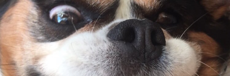 jasonnipple's profile banner image