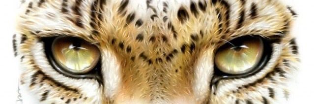henriettesz's profile banner image