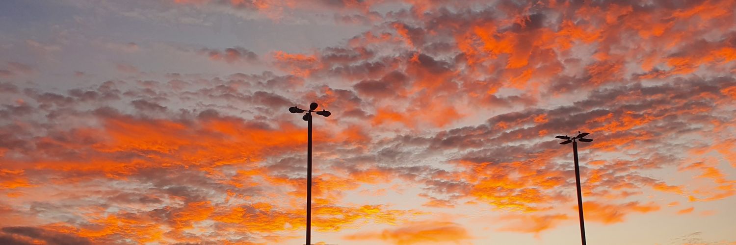 Gustavo Fasquelle. banner