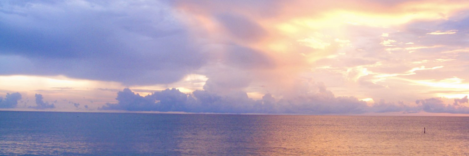 spikenheimer's profile banner image