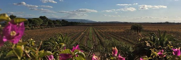 SellaeMosca Profile Banner