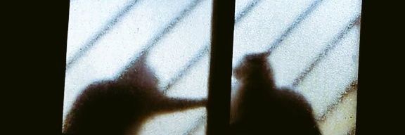 إنسانه قديمه 💛 banner
