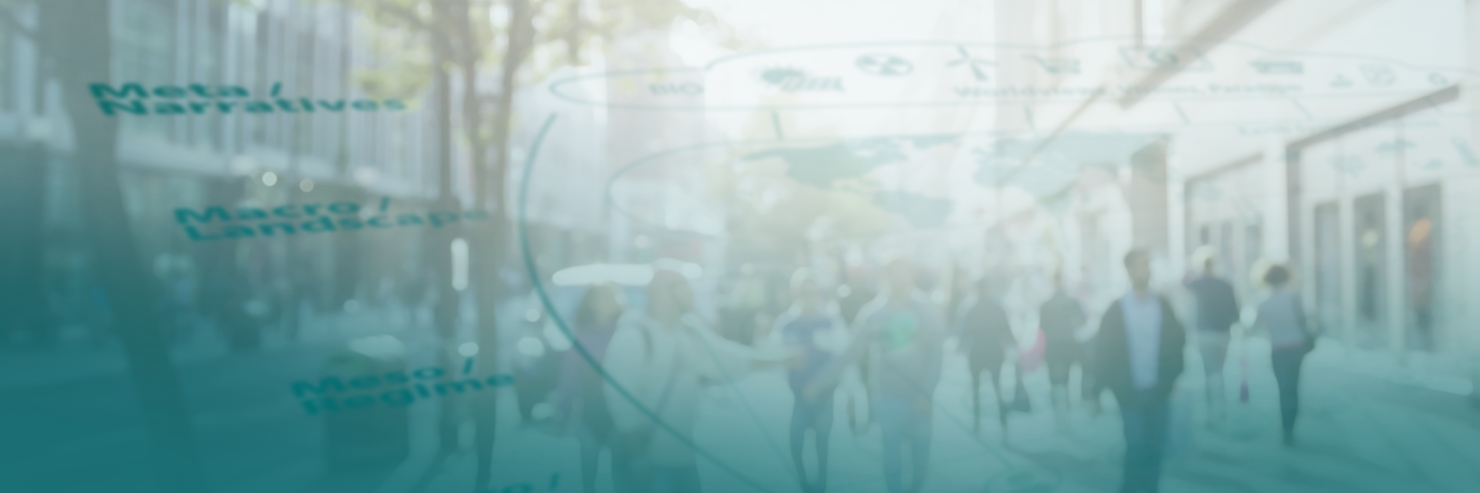 Wuppertal Institut banner