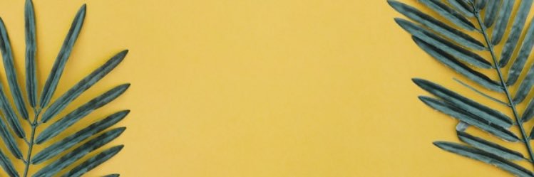danielle_aho's profile banner image