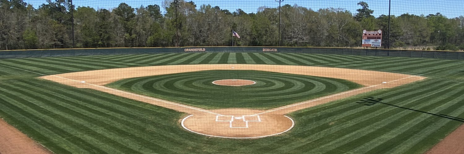 Bobcat Baseball banner