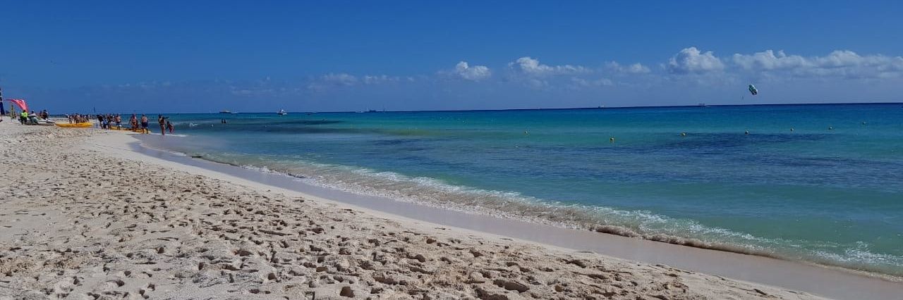 Fernando Confessore banner