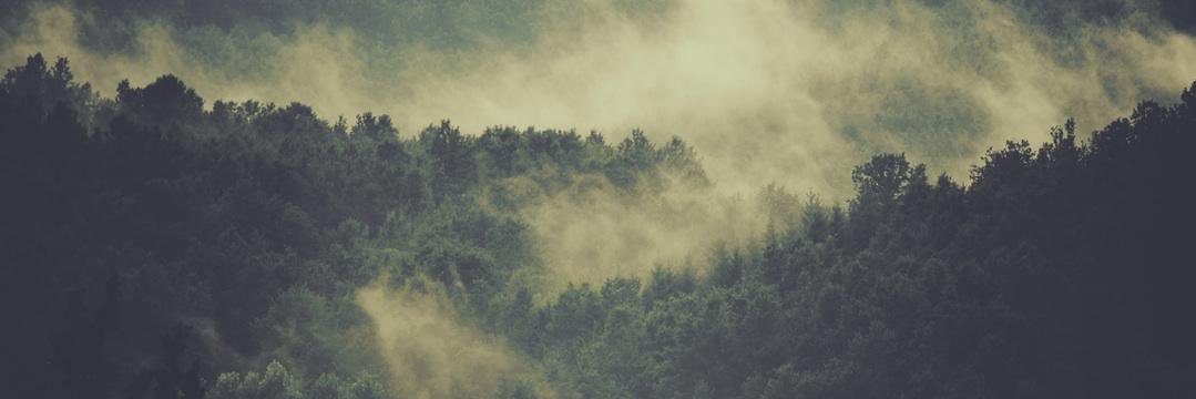 HolyOlie's profile banner image