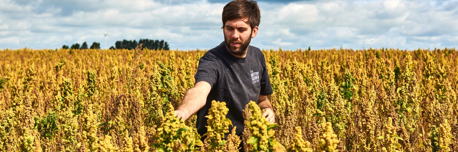 British Quinoa Co banner