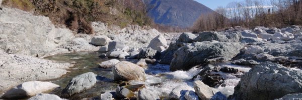 davidevnz Profile Banner