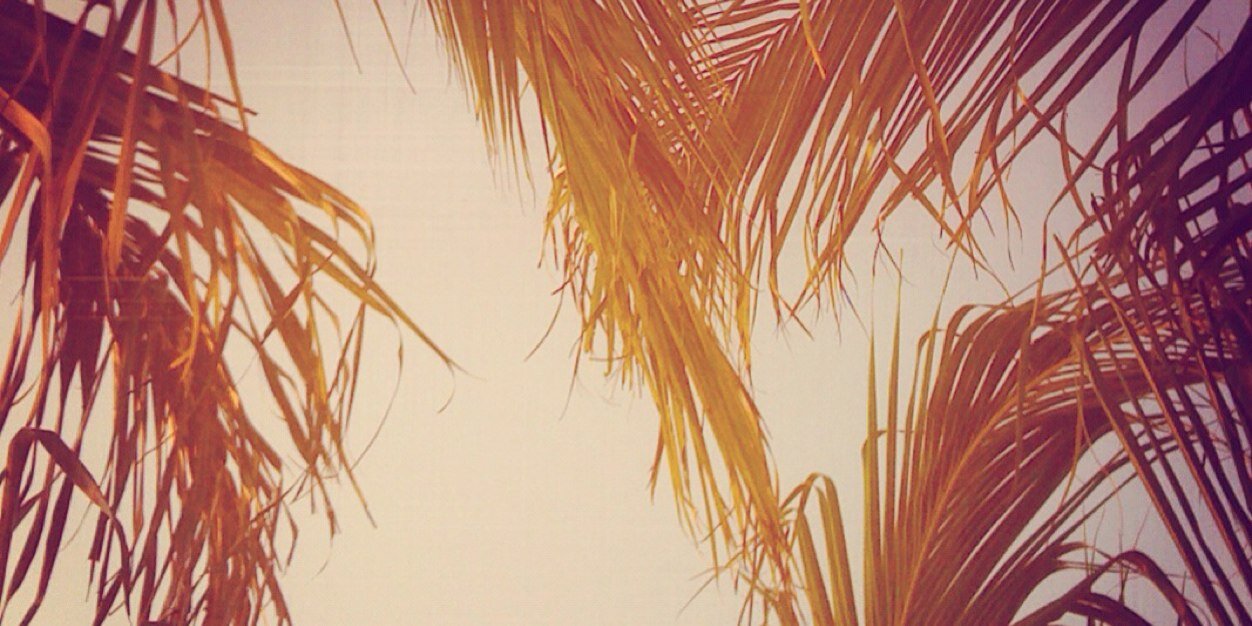 LisaLo's profile banner image