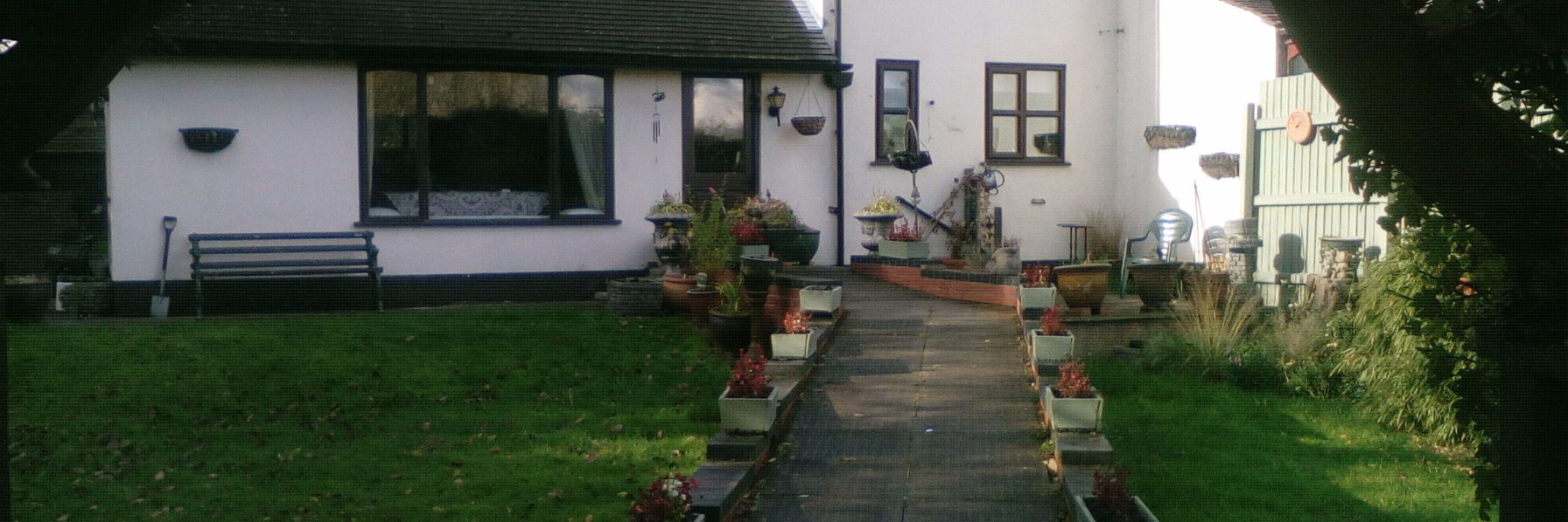 Derek Rocky Darby banner