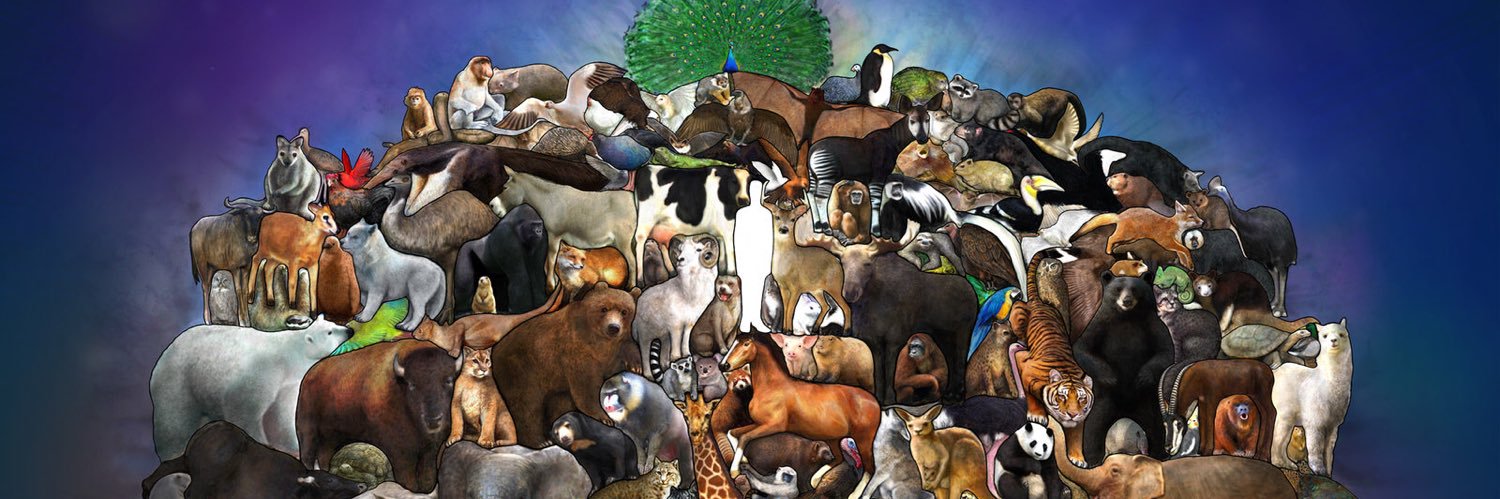 Jacques Beauregard banner