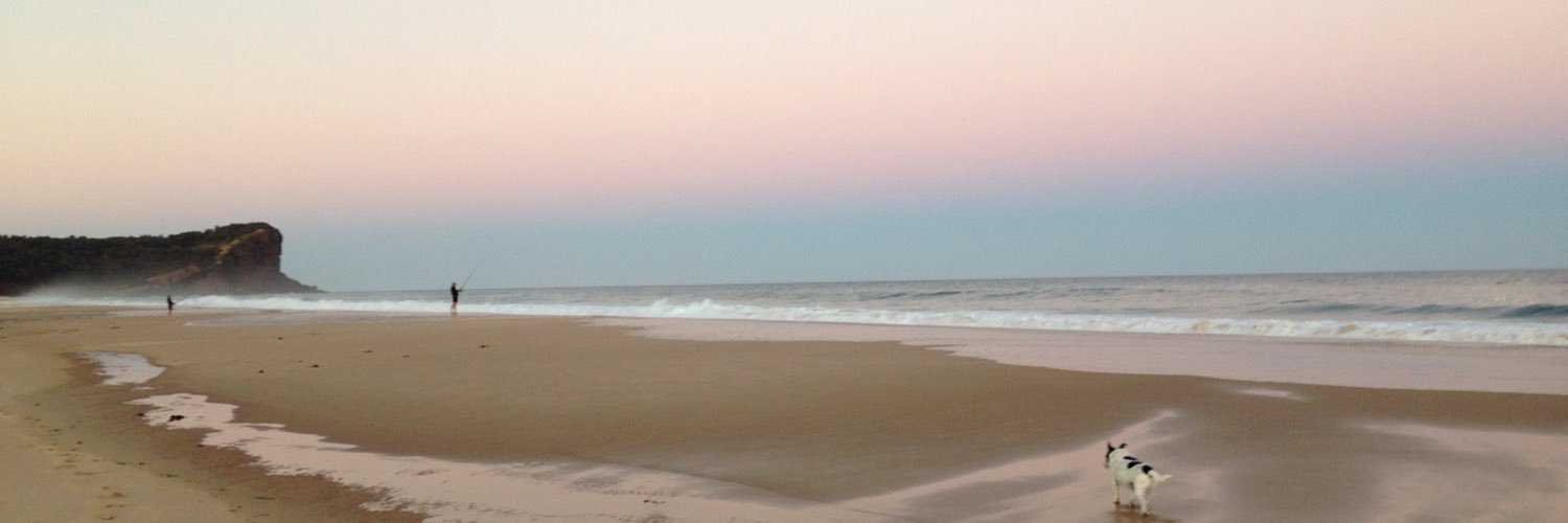 lpwillson's profile banner image