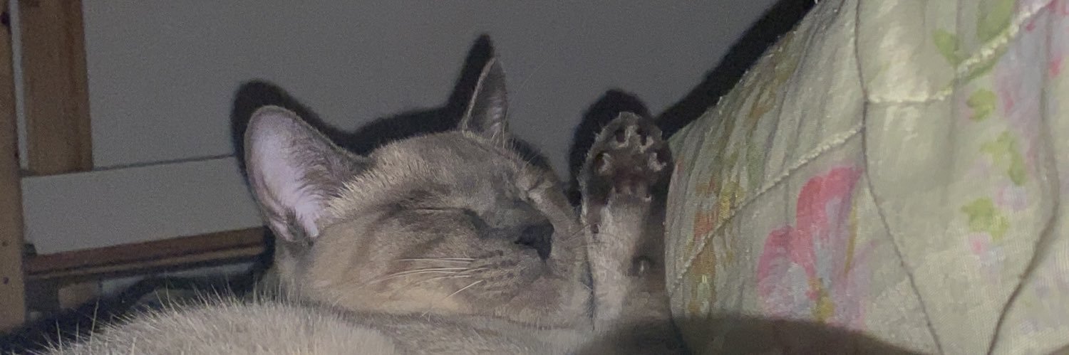 copycopyofcopy's profile banner image