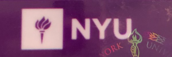 AlmheiriAE Profile Banner