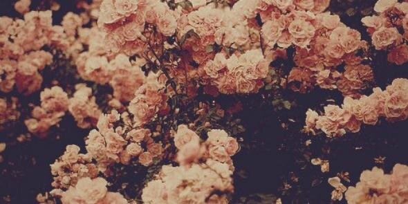 Noura959's profile banner image