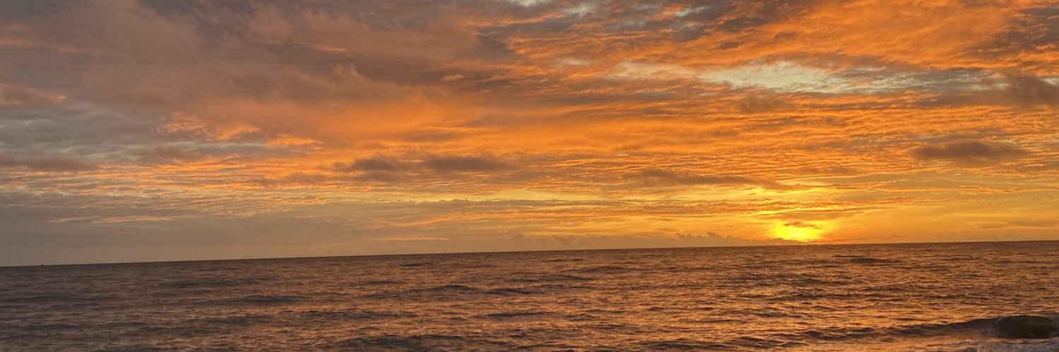 emmadlze's profile banner image