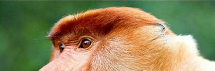 baidabadass's profile banner image