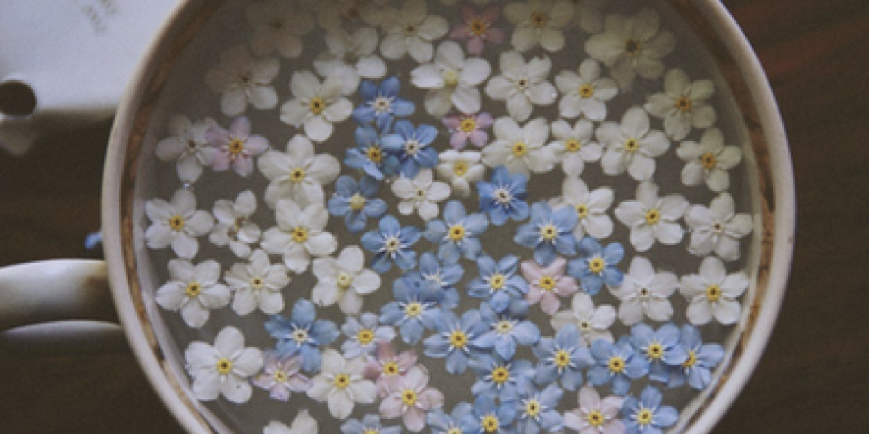 astariNH's profile banner image