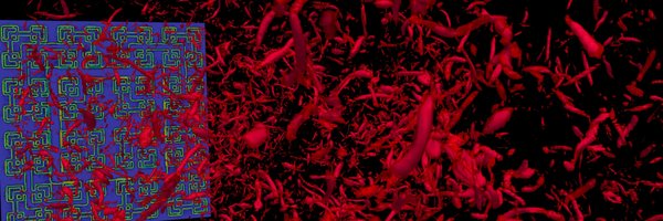 NonEquilibTurb Profile Banner