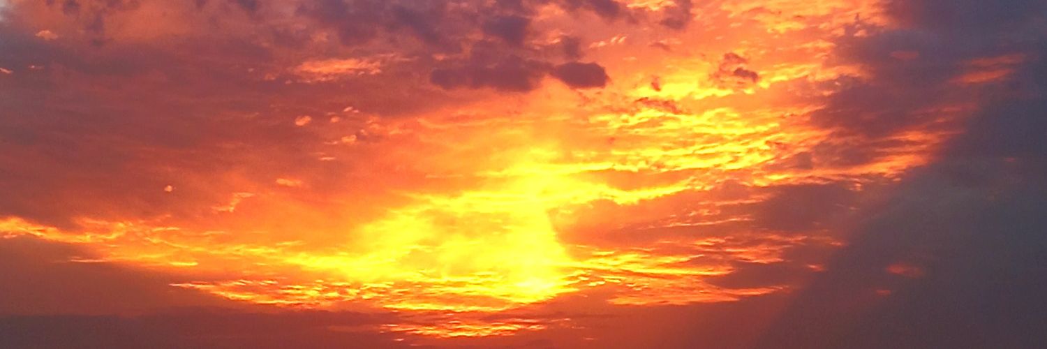 deeeelf_'s profile banner image