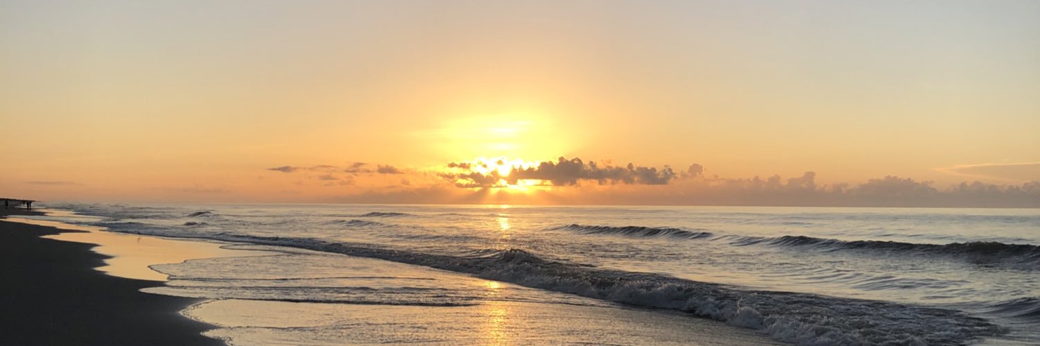CarolDye7's profile banner image