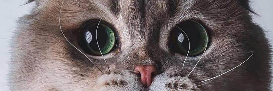 Pymm3605's profile banner image