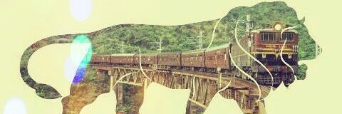 AnkitGu75458147's profile banner image