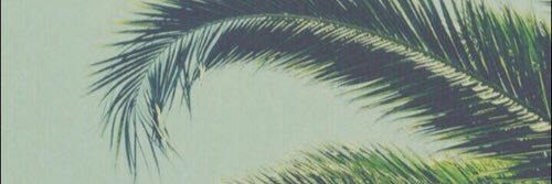 EmmyRehn's profile banner image