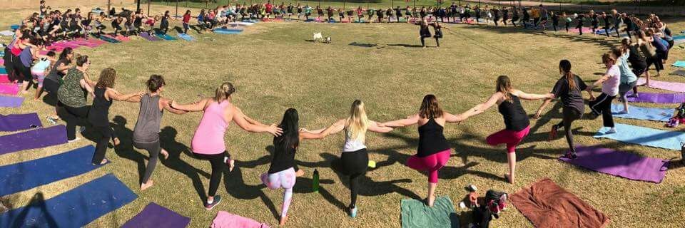 Goat Yoga™ banner