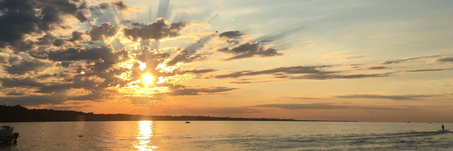 WellnessHero_'s profile banner image