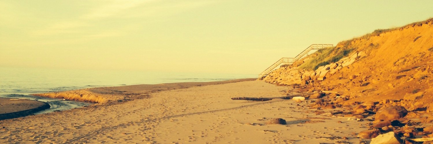 Chels_mackinnon's profile banner image