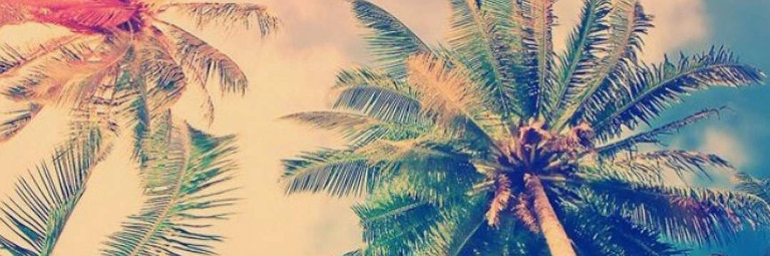 YasminnAziz's profile banner image