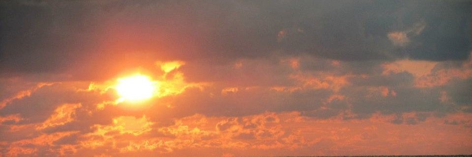 Lena Elizabeth banner
