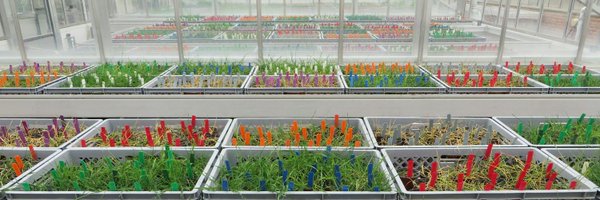 RHull76 Profile Banner