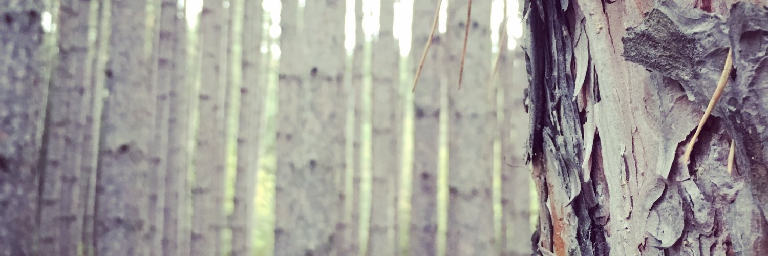 Dee O'Sullivan banner