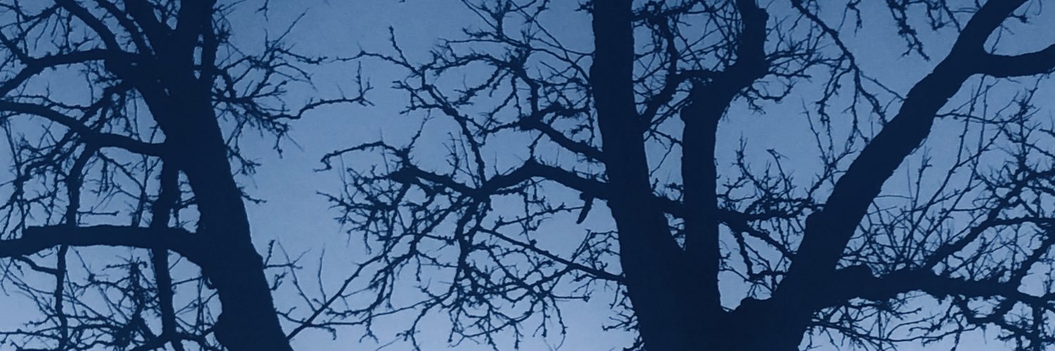 Divanko2's profile banner image