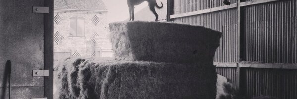 willtanner2 Profile Banner