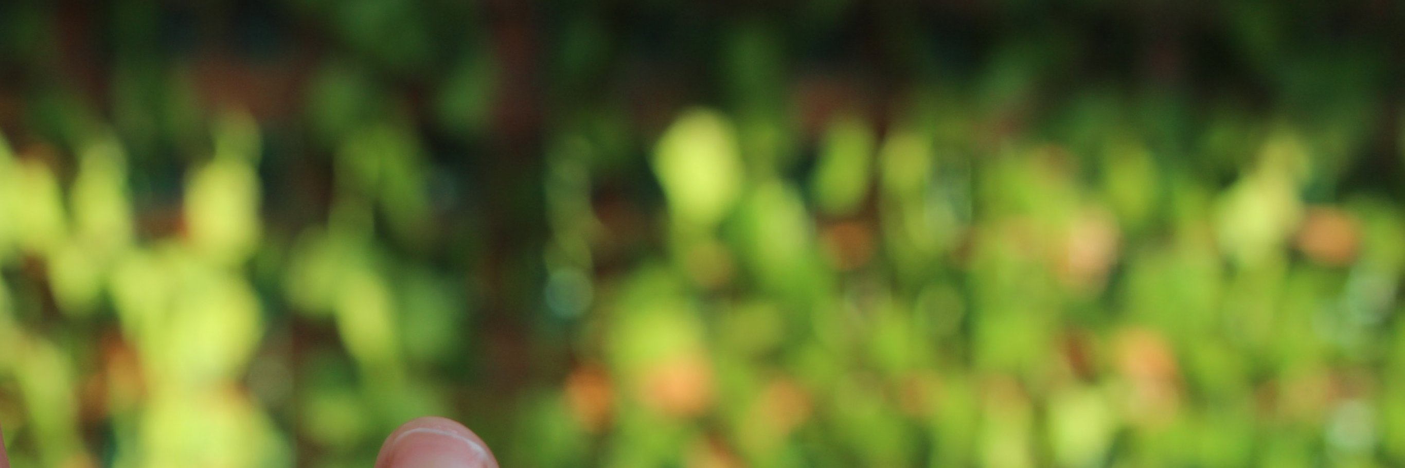 Candace Coker banner